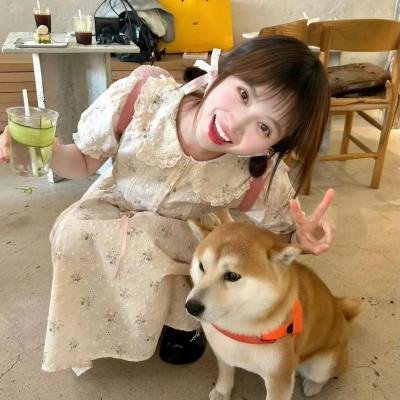 城市姐妹